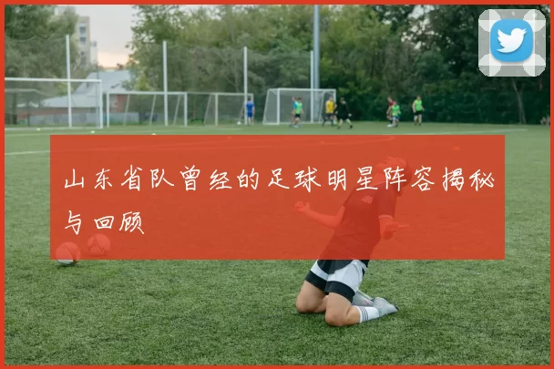 山东省队曾经的足球明星阵容揭秘与回顾