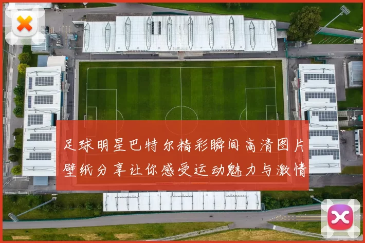 足球明星巴特尔精彩瞬间高清图片壁纸分享让你感受运动魅力与激情