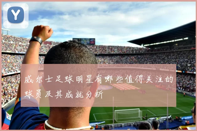 威尔士足球明星有哪些值得关注的球员及其成就分析