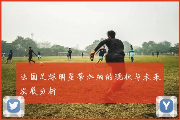法国足球明星蒂加纳的现状与未来发展分析