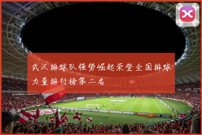 武汉排球队强势崛起荣登全国排球力量排行榜第二名