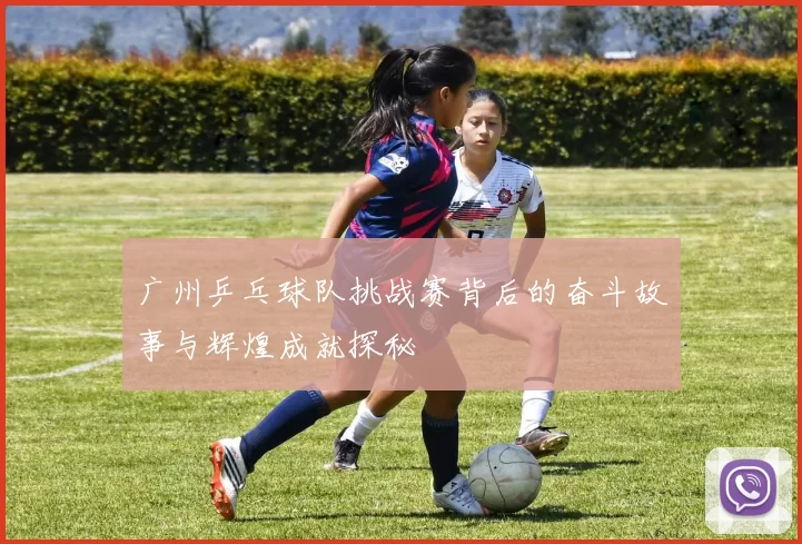 广州乒乓球队挑战赛背后的奋斗故事与辉煌成就探秘