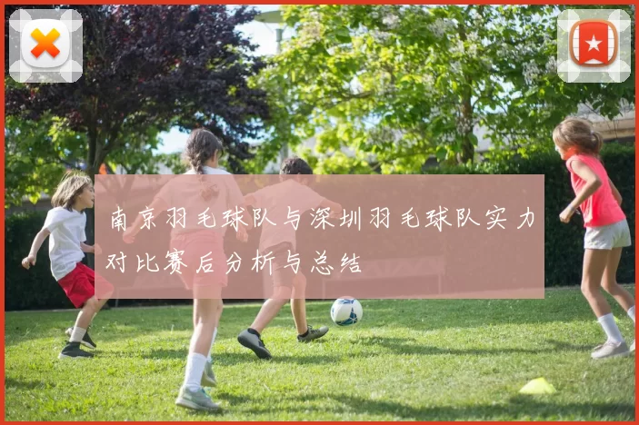 南京羽毛球队与深圳羽毛球队实力对比赛后分析与总结