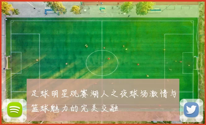 足球明星观赛湖人之夜球场激情与篮球魅力的完美交融