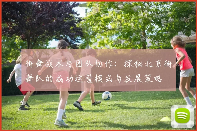 街舞战术与团队协作：探秘北京街舞队的成功运营模式与发展策略
