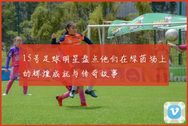 15号足球明星盘点他们在绿茵场上的辉煌成就与传奇故事