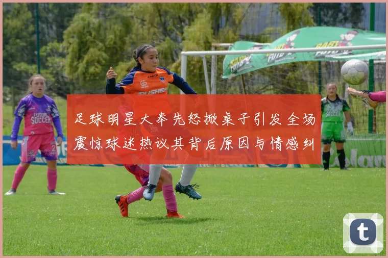 足球明星大奉先怒掀桌子引发全场震惊球迷热议其背后原因与情感纠葛