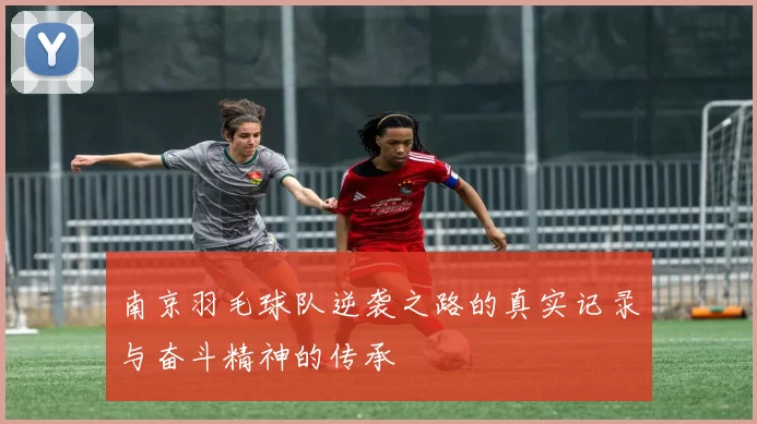 南京羽毛球队逆袭之路的真实记录与奋斗精神的传承