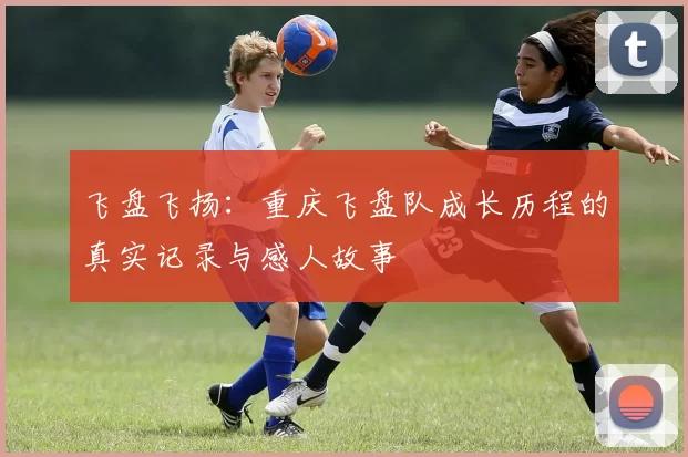 飞盘飞扬：重庆飞盘队成长历程的真实记录与感人故事