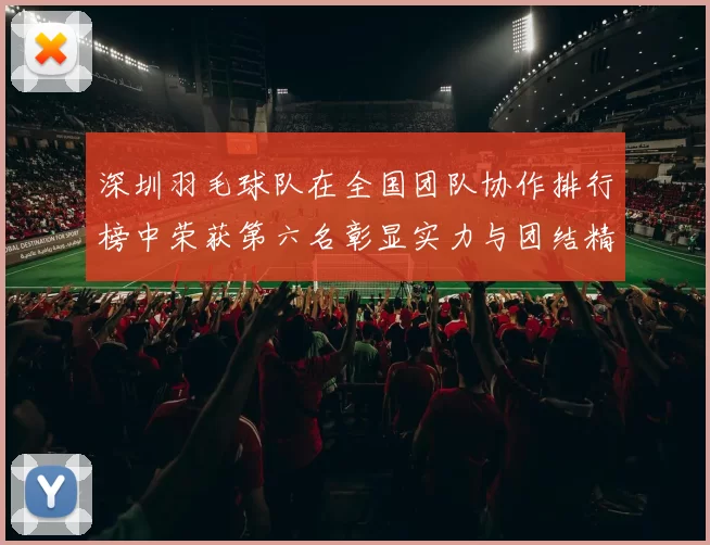 深圳羽毛球队在全国团队协作排行榜中荣获第六名彰显实力与团结精神