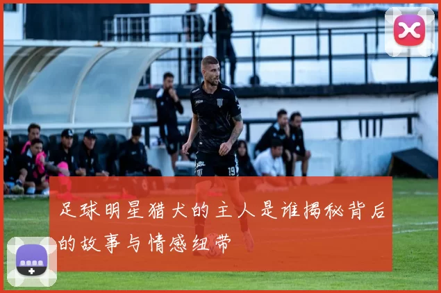 足球明星猎犬的主人是谁揭秘背后的故事与情感纽带